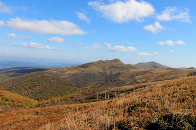 Bieszczady - Bukowe Berdo